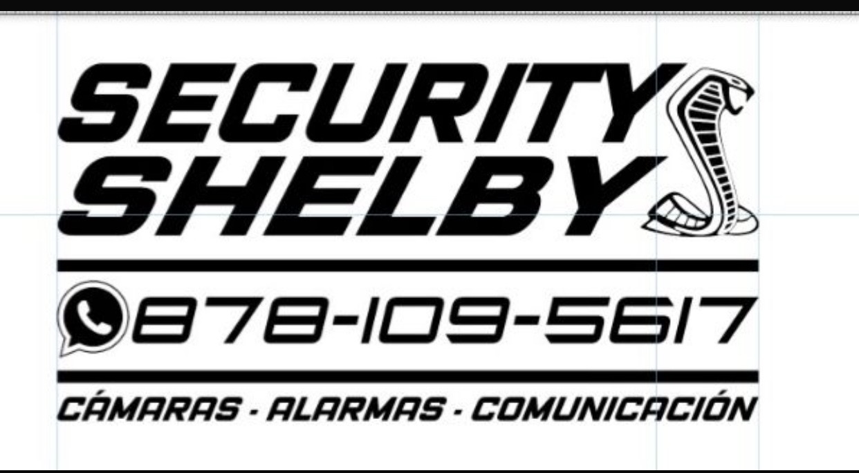 SECURITY SHELBY